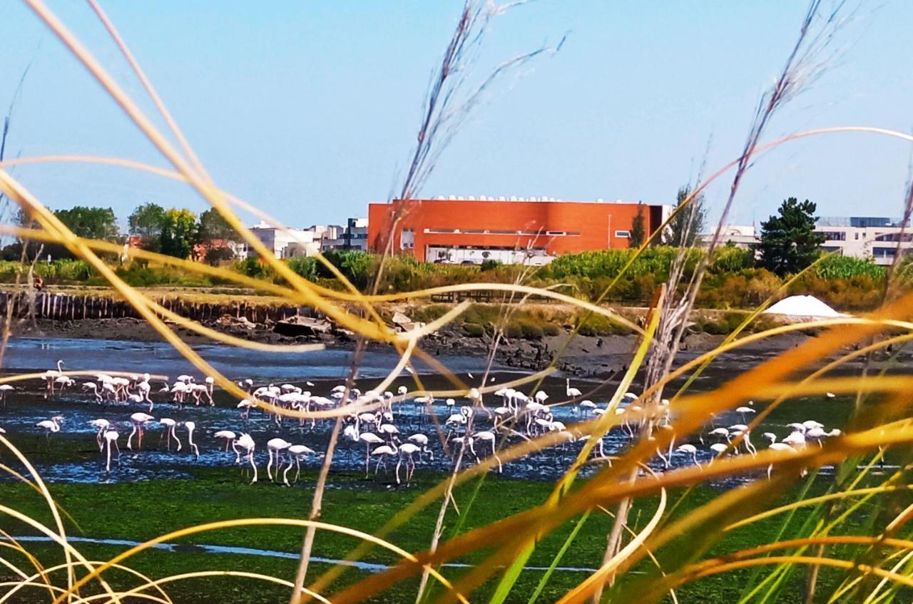 Aveiro, Ria E Arte Apartment ภายนอก รูปภาพ