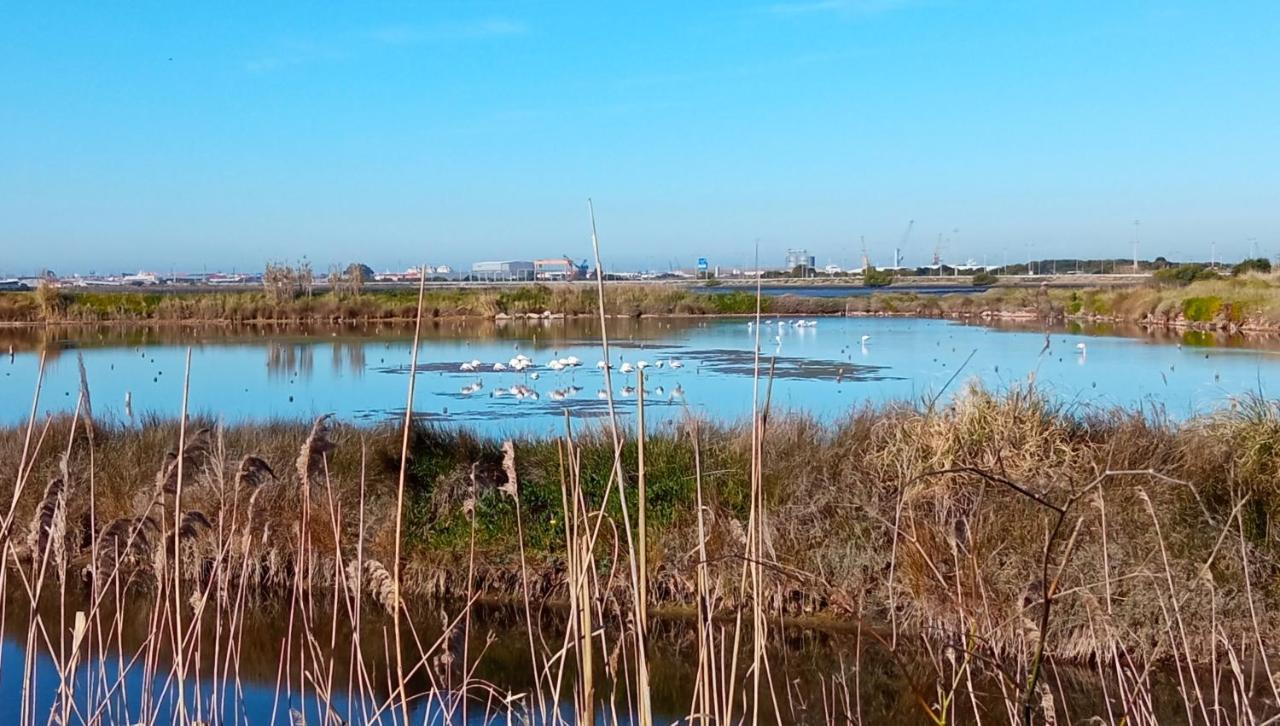Aveiro, Ria E Arte Apartment ภายนอก รูปภาพ